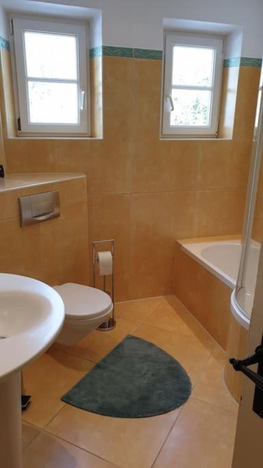 Ferienwohnung In Der Villa Sana Mit Grossem Garten Rofingen Экстерьер фото